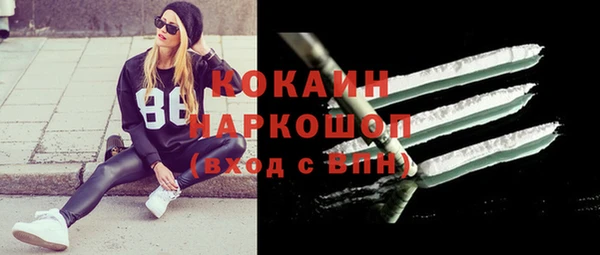 шишки Дмитровск