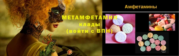 шишки Дмитровск