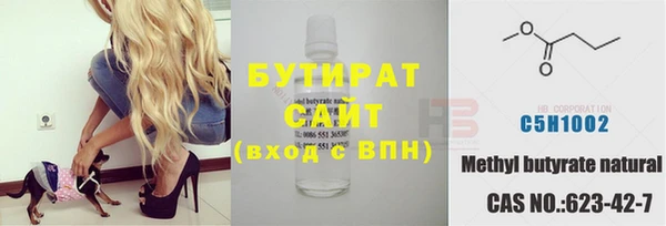шишки Дмитровск