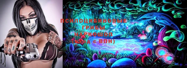 шишки Дмитровск