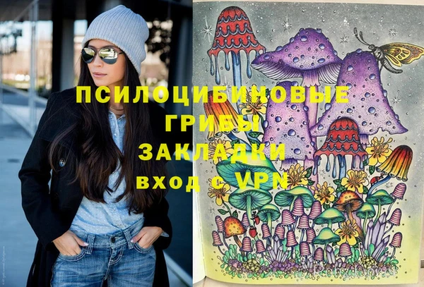 шишки Дмитровск