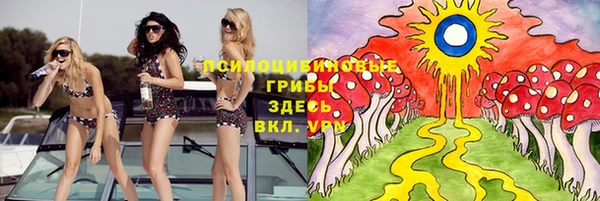 шишки Дмитровск