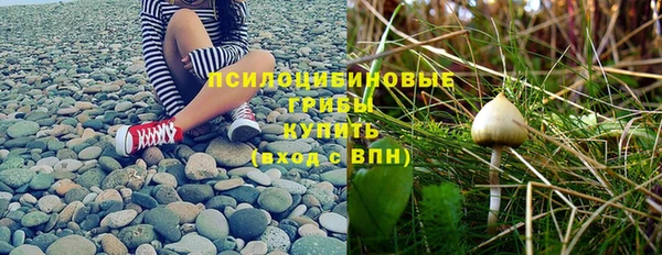 прущая мука Дмитров