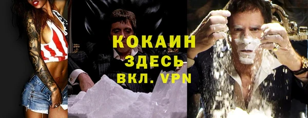 шишки Дмитровск