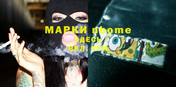 шишки Дмитровск