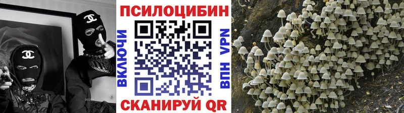 Галлюциногенные грибы прущие грибы  Купить закладки  Кемь 
